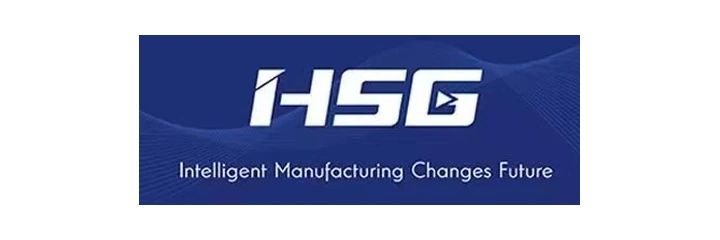 HSG